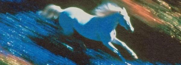 ATEŞ ATI YILI KULLANIM KLAVUZU